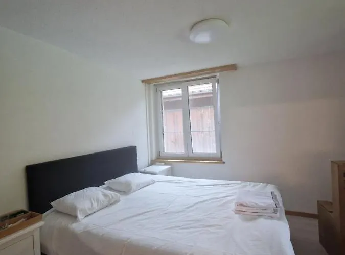 Saaner Valley דירה Boltigen