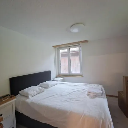 Saaner Valley Apartment Boltigen