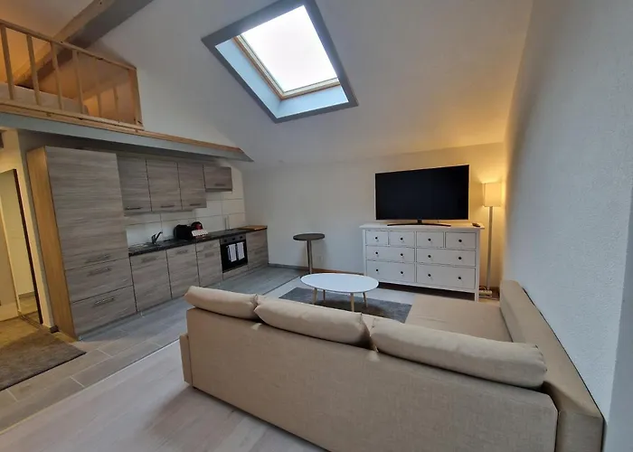 Apartman Saaner Valley Boltigen